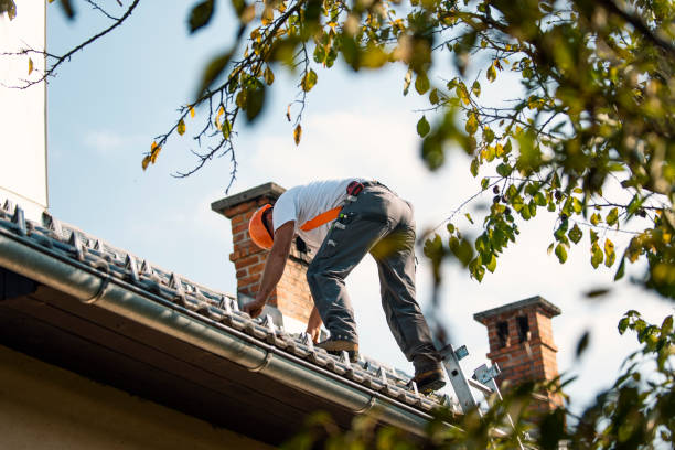 Best Flat Roof Repair Services  in Upland, IN